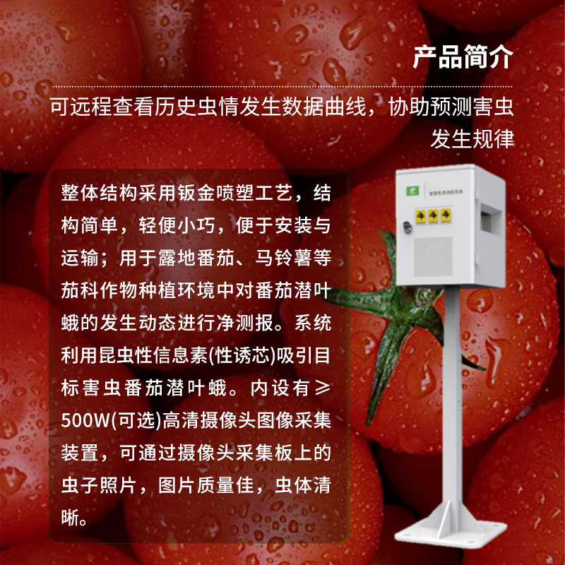 番茄潛葉蛾智慧性誘測報系統：高效誘蟲、殺蟲