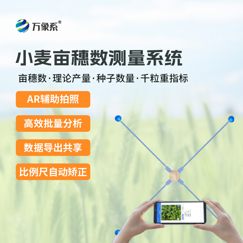 小麥畝穗數測量系統：麥田里的